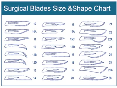 [Australia] - Disposable Surgical Scalpel Blades Sterile High Grade Carbon Steel 2.1% 10xx Individually Foil Wrapped by P&P MEDICAL SURGICAL Size 11 Box of 100 