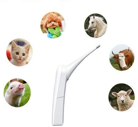 [Australia] - AURYNNS Pet Thermometer Dog Thermometer, Fast Digital Veterinary Thermometer, Pet Thermometer for Dogs, Cats, Horse,Cattle, Pigs,Birds, Sheep.(Battery Included) 