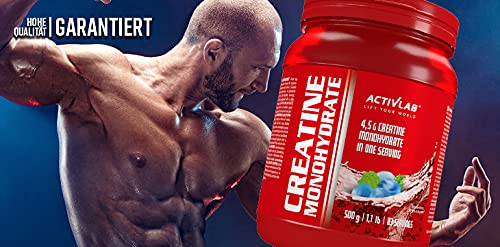[Australia] - Activlab Creatine Monohydrate - 500g Jar | Optimum Nutrition Pre-Workout 83 Servings | Creatine Powder for Muscle Growth- Iced Candy Flavor 