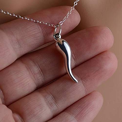 [Australia] - choice of all TItalian Horn Pendant Necklace Talisman Italian Jewelry Lucky Necklace for Personality Gifts E:big silver horn 