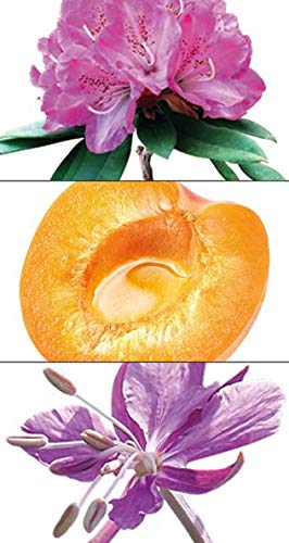 [Australia] - MAVALA NUTRI-ELIXIR Anti-Age Nutrition Essential Serum NE Serum Nutri Elixir 
