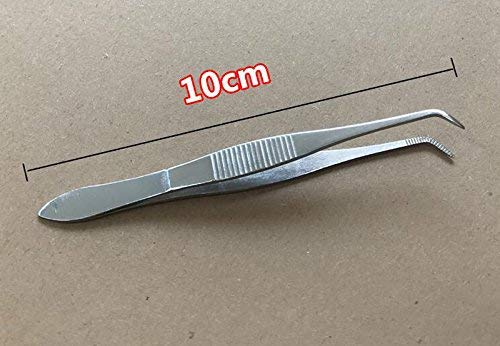[Australia] - 2 PCS 4 Inch Professional Stainless Steel Dental Straight Forceps and Curved Tip Tweezers Multifunction Eyebrow Cosmetic Tools DIY Accessories Extractor Clamp 
