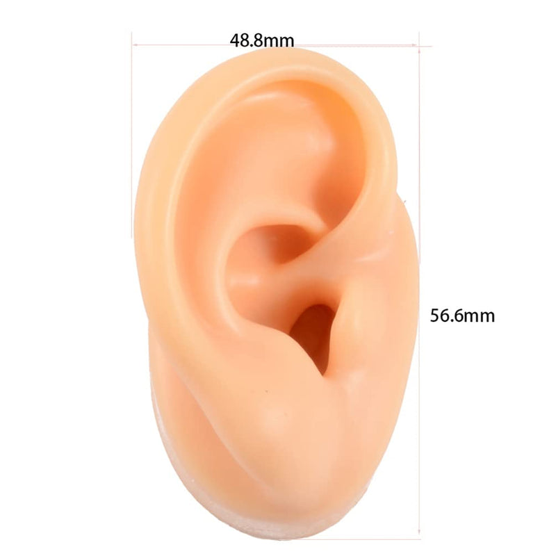 [Australia] - HEMOTON 2pcs Soft Silicone Ear Model Fake Ear Display Sample Ear Display Earrings Sample For Study Practice Teaching Tools Props 