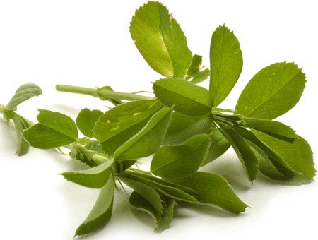 [Australia] - Herbal Magic's 100% Pure & Natural Alfalfa Leaf Powder | Rich in Vitamin C,A | Calcium |Antioxidants | Green Superfood | for Smoothies | Non-GMO | (Alfalfa Leaf Powder - Pack 1) Alfalfa Leaf Powder - Pack 1 