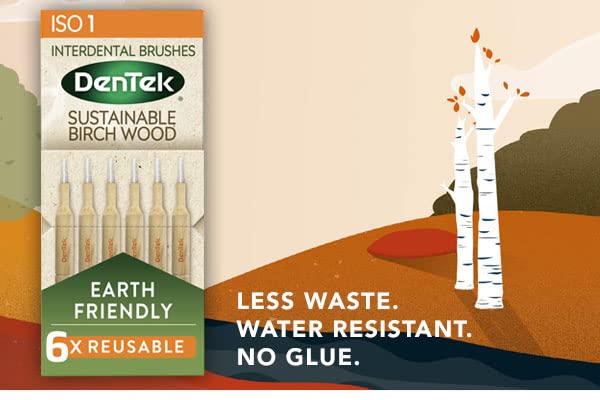 [Australia] - DenTek Earth Friendly Birch Wood - 6 Count x 6 Packs (36 Brushes) Interdental Brushes ISO1/0.45mm - Green 0.45mm 6 Pack 