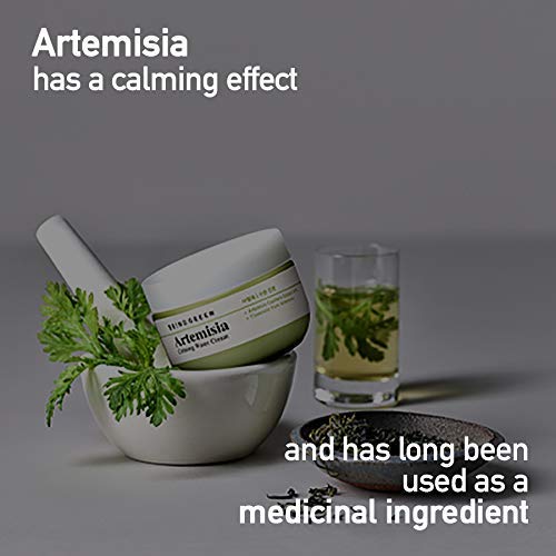 [Australia] - BRING GREEN Artemisia Calming Repair Cream 75ml - Redness Relief Skin Soothing & Moisturizing Facial Cream, Mild Salicylic Acid Natural Ingredients Skin Care, for Senstive & Damaged Skin 