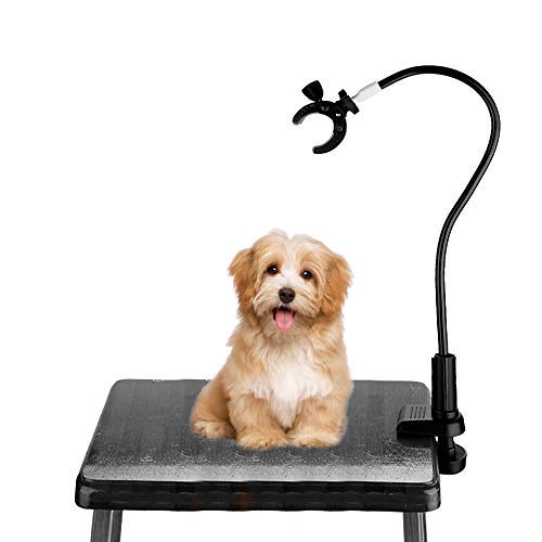 [Australia] - Pet Hair Dryer Holder 360 Degrees Rotatable Hands-free Hair Dryer Stand Aluminum Alloy Gooseneck Dog Cat Grooming Table Hair Dryer Clip Holder with Clamp Mount 