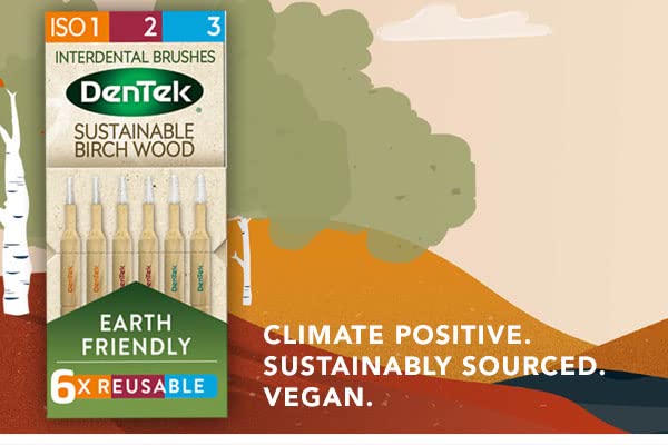 [Australia] - DenTek Earth Friendly Birch Wood - 6 Count x 6 Packs (36 Brushes) - Interdental Brushes Mixed Size Pack ISO1, 2 & 3, Green Mixed (ISO1, 2 & 3) 