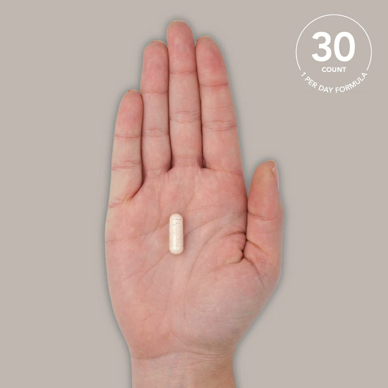 [Australia] - Daily Probiotics with Prebiotics for Women & Men | Probiotic Blend with 60 Billion CFU at Expiration, Non-GMO Verified & Vegan Certified (30 Delayed-Release Veggie Capsules) 