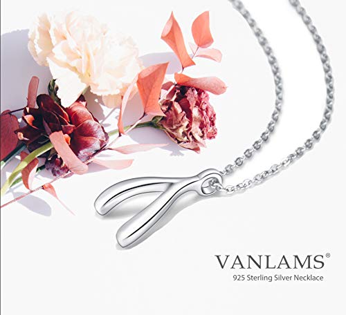 [Australia] - VANLAMS Delicate Sterling Silver Cubic Zirconia Dancing Heart Pendant Necklace Women Girl Jewelry Gifts (Dancing) Wishbone 