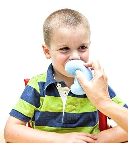 [Australia] - TalkTools Sensory Bean Bag Kit - (Set of 8) 