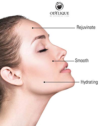 [Australia] - Odylique - Organic Face Moisturiser – Timeless Rose Moisturiser - With Rose Water + Rosehip – Natural Moisturiser For Women (50ml) 50 ml (Pack of 1) 