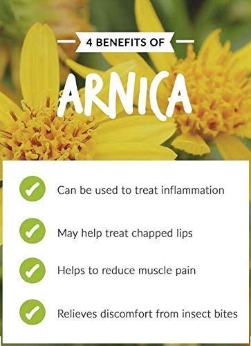 [Australia] - Arnica Essential Oil (Arnica Montana) 100% Pure & Natural - Undiluted Uncut Cold Pressed Aromatherapy Premium Oil - Therapeutic Grade - 30 ML 30 ml (Pack of 1) 