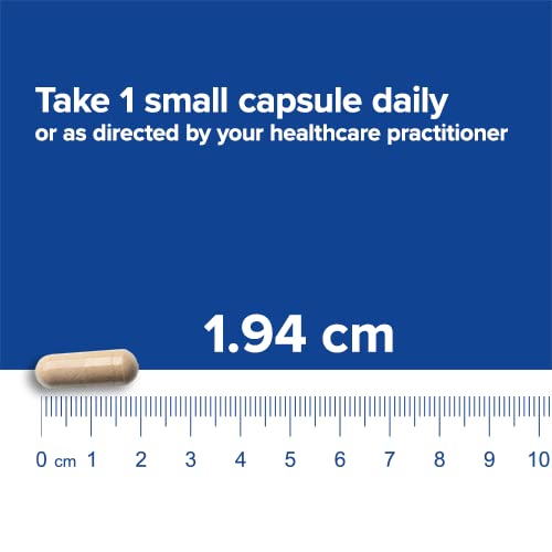[Australia] - Bariatric Fusion Daily Digestive Support, 1 Per Meal, Capsules - Digestive Enzymes and Probiotic Nutritional Supplement, Immune System Support - 60 Servings 