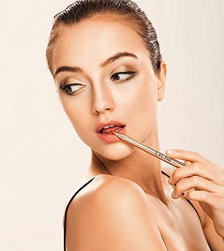 [Australia] - L.Y.L Pro Gold Retractable Lip Makeup Brushes Double-Ended Retractable Lip Brush Travel Lipstick Gloss Makeup Brush for Christmas Gifts 