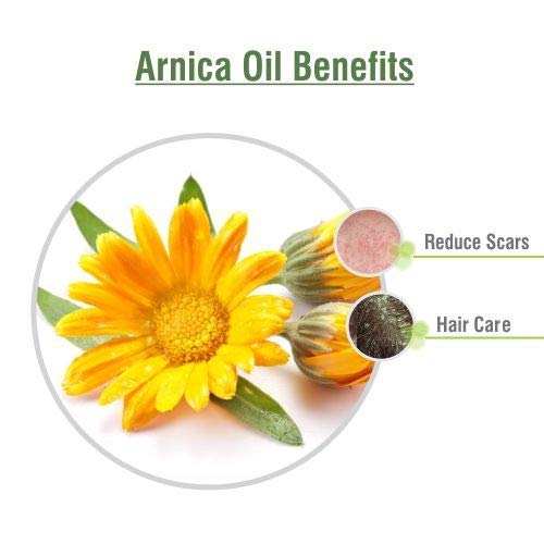 [Australia] - Arnica Essential Oil (Arnica Montana) 100% Pure & Natural - Undiluted Uncut Cold Pressed Aromatherapy Premium Oil - Therapeutic Grade - 30 ML 30 ml (Pack of 1) 