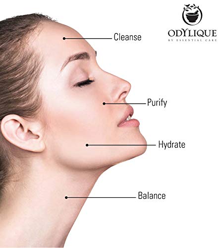 [Australia] - Odylique - Organic Cleanser for Dry Skin ‚Äì Silk Touch Cleanser - With Purifying Lavender & Hydrating Plant Oils ‚Äì Natural Cleanser For Mature Skin (95g) 