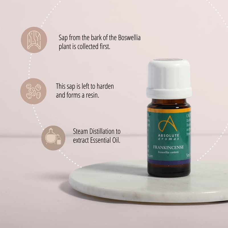 [Australia] - Absolute Aromas Frankincense Essential Oil 5ml - Pure, Natural, Undiluted, Cruelty Free and Vegan � For Aromatherapy, Diffusers, Candle Making and DIY Beauty Recipes 