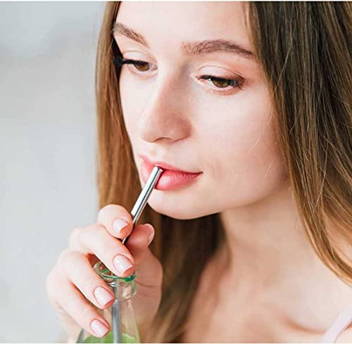 [Australia] - 10 Pcs Stainless Steel Straws, Reusable Metal Drinking Straws with 2 Cleaning Brush for Smoothie, Milkshake, Cocktail and Hot Drinks 8straws+2brush 