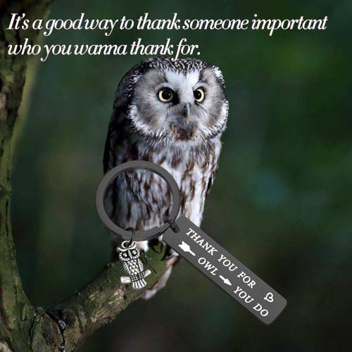 [Australia] - TIIMG Owl Gift Thank You Gift Appreciation Gift Thank You for All You Do Owl Keychain for Nurse Babysitter Social Worker Volunteer Teacher Coach Thank you for owl black 