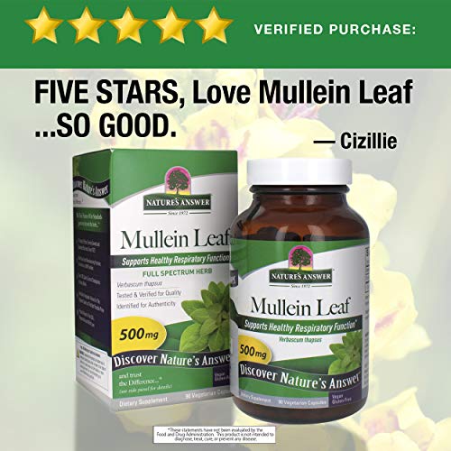 [Australia] - Nature's Answer Mullein Leaf Verbascum Thapsus 500mg | Herb Ideal for Immune and Inflammation | Full Spectrum Herb | Supports Healthy Respiratory Function | Gluten-Free, Vegetarian/Vegan 90 Capsules 