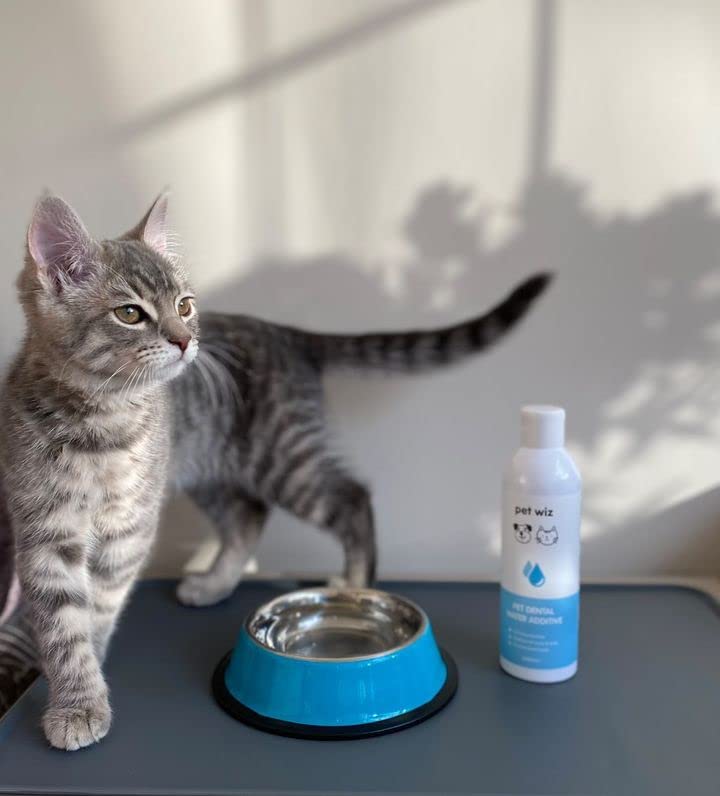 [Australia] - pet wiz Dental Water Additive For Dogs & Cats - Plaque Remover, Treatment for Gums & Tartar, Promotes Fresh Breath (240ml ℮) 