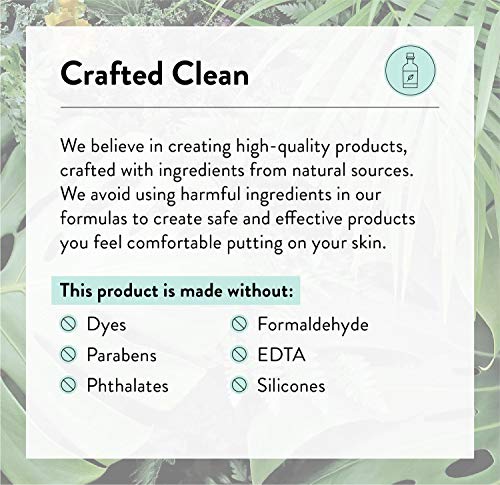[Australia] - J.R. Watkins Natural Moisturizing Hand Cream, Hydrating Hand Moisturizer with Shea Butter, Cocoa Butter, and Avocado Oil, USA Made and Cruelty Free, 3.3oz, Aloe & Green Tea, Single 3.3 Ounce (Pack of 1) 
