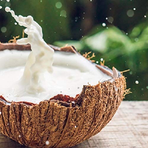 [Australia] - Maui Moisture Conditioner for Dry Hair, Coconut Milk & Aloe Vera, 385 ml Condtioner 