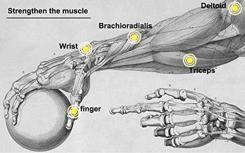 [Australia] - Parallel Halo Power Wrist Ball AUTO Start Wrist Exercises Force Ball Gyroscope Ball Wrist and Forearm Exerciser Arm Strengthener for Stronger Muscle and Bones white+led 