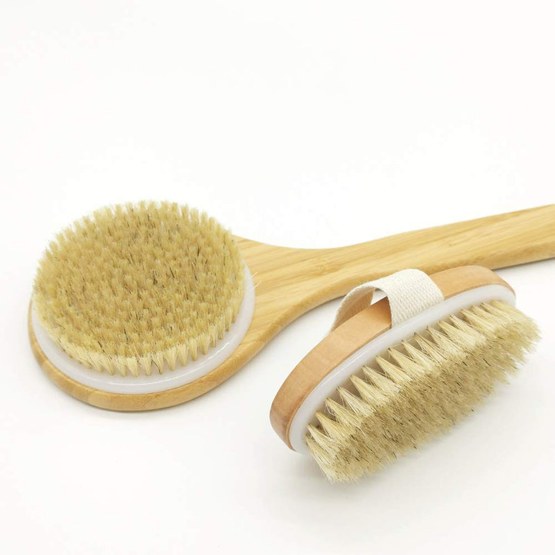 [Australia] - Bath Body Brush for Dry or Wet Brushing,100% Natural Bristle Shower Brush for Exfoliating Skin,Good for Blood Circulation, Improving Skin Health, Set of 2 