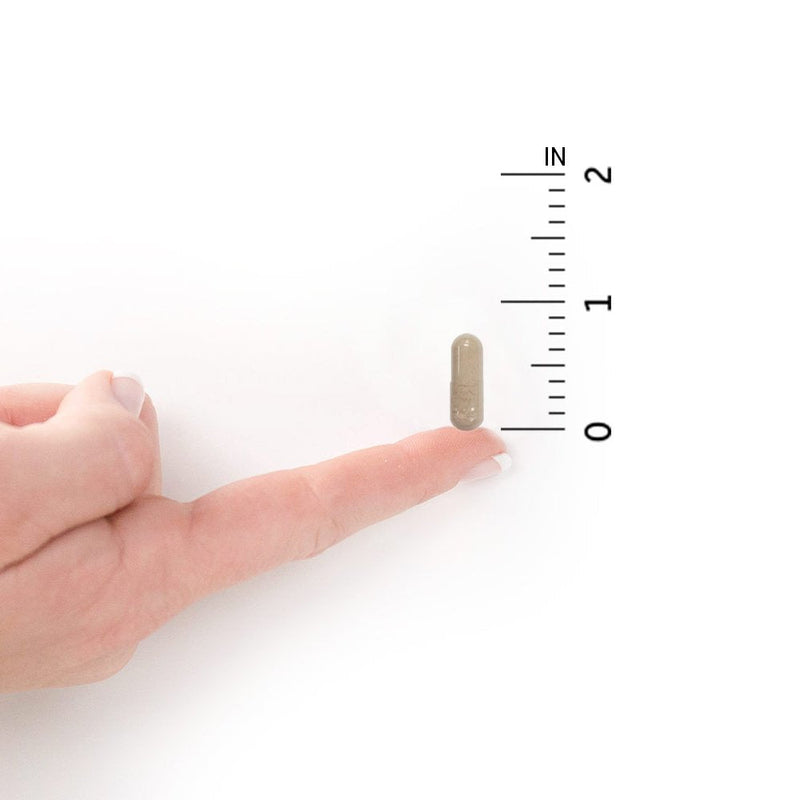 [Australia] - Garden of Life Vitamin Code Raw Vegan Zinc Capsules, 30mg High Potency Whole Food Supplement Plus Vitamin C, Trace Minerals & Probiotics for Skin Health & Immune Support, 60 Count 