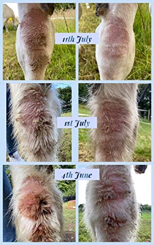 [Australia] - Biteback Products 'Quick-Silver' Cleanse & Protect Lotion For Horse & Dog Skin, 500ml 