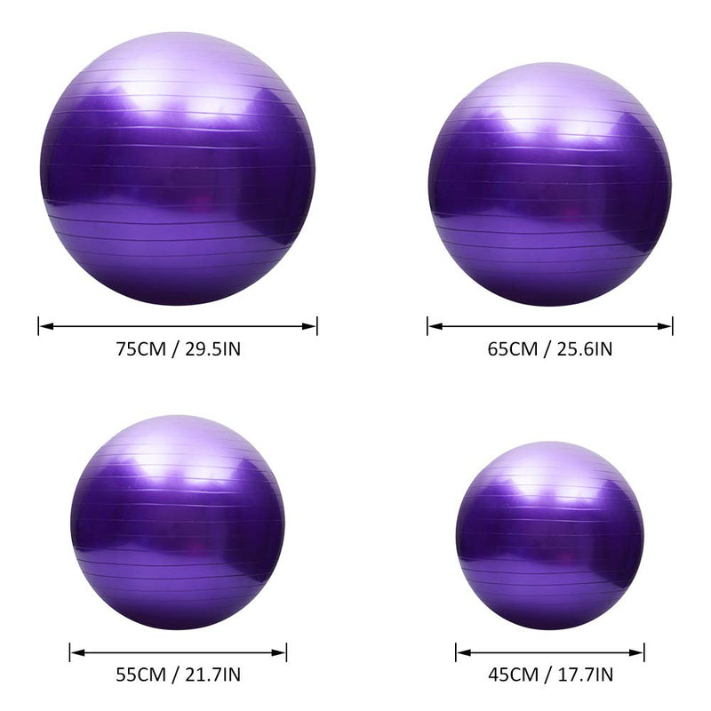 [Australia] - TOMSHOO Anti-Burst Yoga Ball With Air Pump And Thickened Stability Balance For Physical Fitness Silver 45cm 