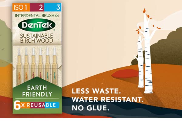 [Australia] - DenTek Earth Friendly Birch Wood - 6 Count x 6 Packs (36 Brushes) - Interdental Brushes Mixed Size Pack ISO1, 2 & 3, Green Mixed (ISO1, 2 & 3) 