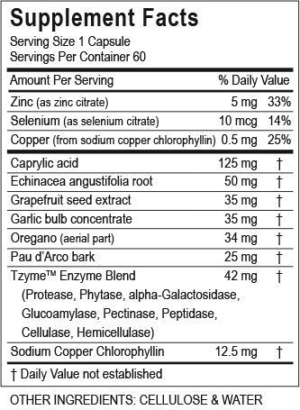 [Australia] - Professional Protocol Intestinal Support - 60 Capsules, BPA Free Advanced Intestinal, Digestive Supplement Support by Transformation Enzymes 