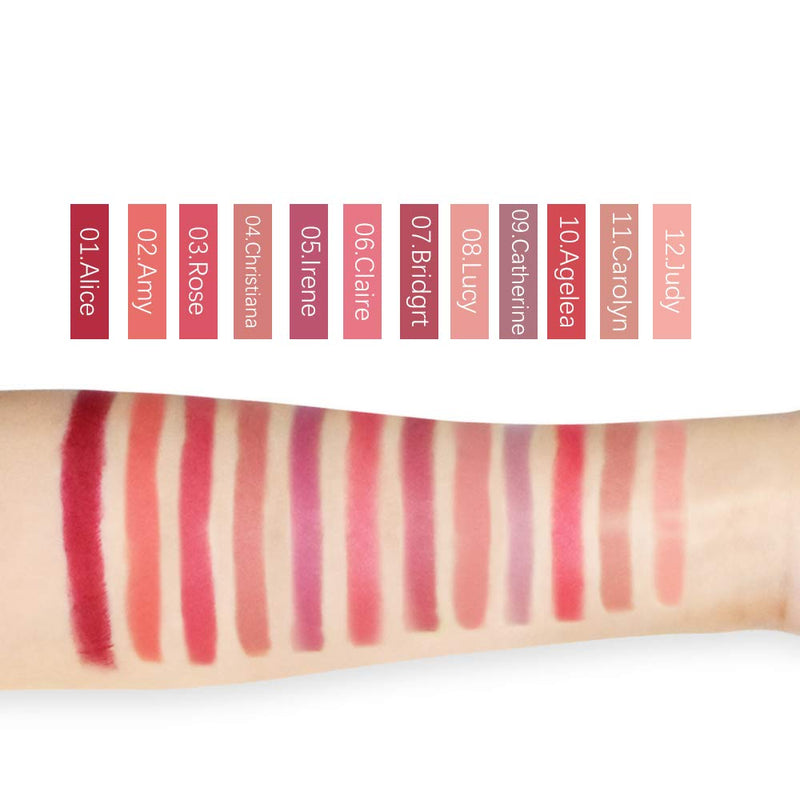 [Australia] - FREEORR 12PCS/Set Nude Moisturizer Smooth Lipstick, Make up Velvety Waterproof Long Lasting Durable Nude Lip Gloss Beauty Cosmetics Set A 