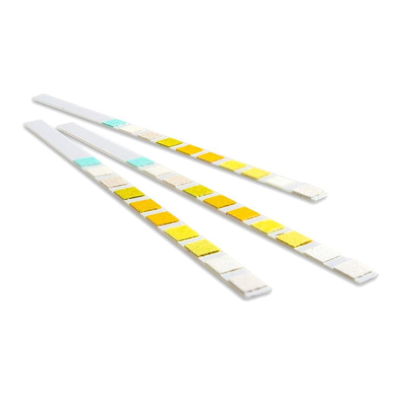 [Australia] - 1 Tub (100 Strips) - 10 Parameter Professional/GP Urinalysis Urine Test + Sample 30ml Bottle (pH/Glucose/Ketone/Liver & Kidney Infection) 