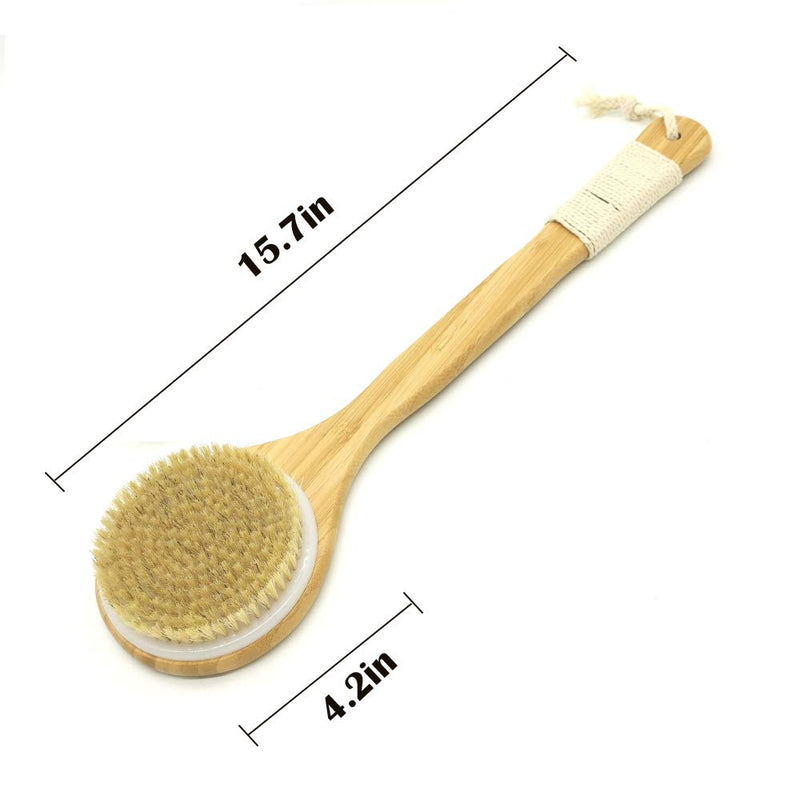 [Australia] - Bath Body Brush for Dry or Wet Brushing,100% Natural Bristle Shower Brush for Exfoliating Skin,Good for Blood Circulation, Improving Skin Health, Set of 2 