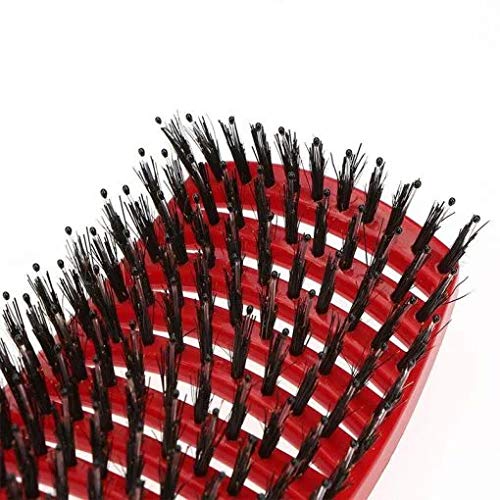 [Australia] - Detangling Nylon Bristle Brush, Single White Brush Anti-Static Detangler, Wet or Dry Use, Fast Blow Drying 