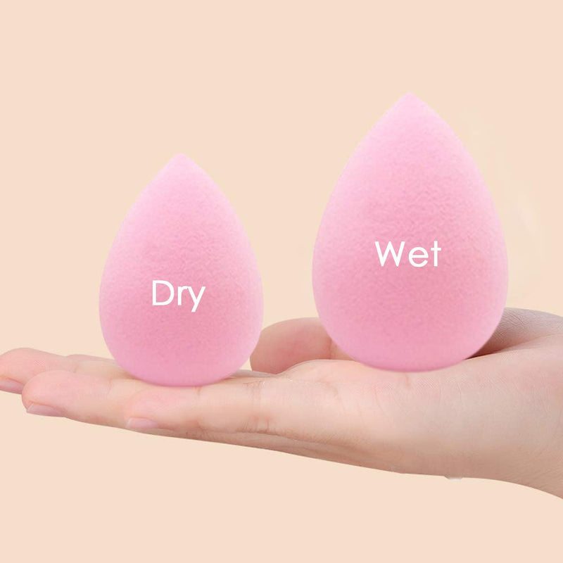 [Australia] - 2 Pcs Foundation Brush,DanziX Makeup Brush with 3 Pcs Makeup Sponge Used for Foundation Blending Blush Concealer Powder Cream-Pink,White 