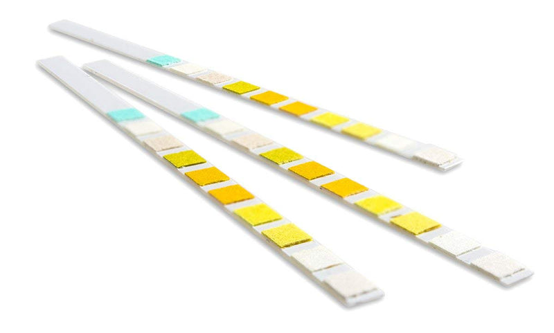 [Australia] - 2 x Urinalysis Multisticks Strips -10 Parameter Professional/GP Urine Tests - pH/Glucose/Ketone/Liver & Kidney Infection 