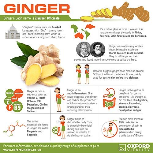 [Australia] - Ginger Tablets | High Strength 1000mg Ginger Root Extract Supplement | for Sickness, Nausea & Joint Pain | Oxford Vitality 120 Count (Pack of 1) 