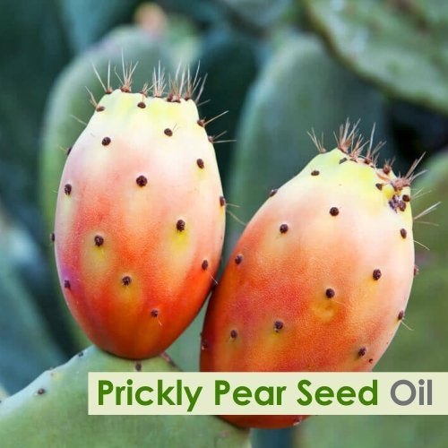 [Australia] - Pickly Pear Essential Oil 100% Natural Pure Undiluted Uncut Carrier Oil 50ml 
