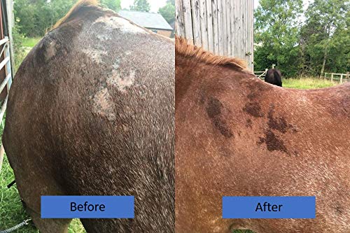 [Australia] - Biteback Products 'Quick-Silver' Cleanse & Protect Lotion For Horse & Dog Skin, 500ml 
