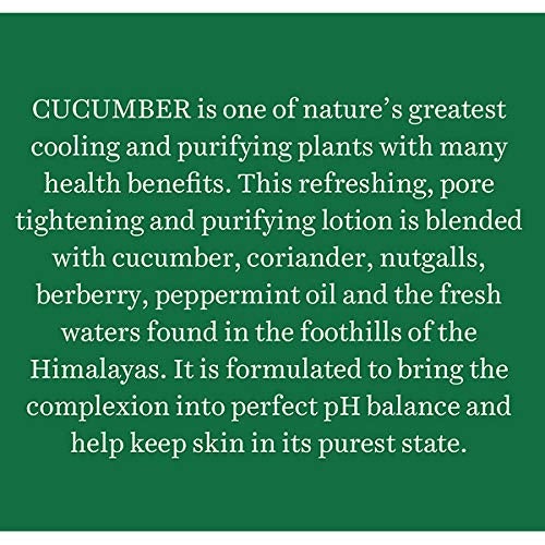 [Australia] - Biotique Cucumber Pore Tightening Freshener with Himalayan Waters for Normal To Oily Skin 120 ml (Pack of 1) 