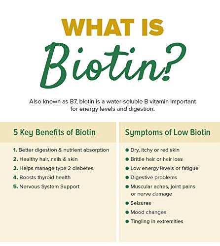 [Australia] - VitaSupport 60 Essential Liver Support & Cleanse. Potent, Kosher, Vegetarian & Natural Toxin Flush & Detox Formula with Biotin & Choline for Lipid Metabolism 