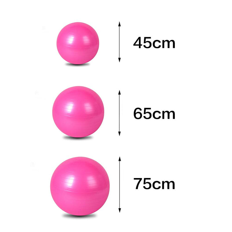 [Australia] - ZHIYE Pilates Yoga Ball Exercise Ball Core Fitness Bender, Yoga, Stability, Barre, Training Physical Therapy Anti-Slip Swiss Ball Gym Home 45CM Diameter PumpPink 