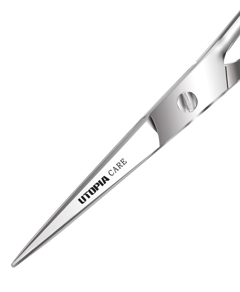 [Australia] - Professional Barber Hair Cutting Scissors/Shears - Silver (Matte) Matte 