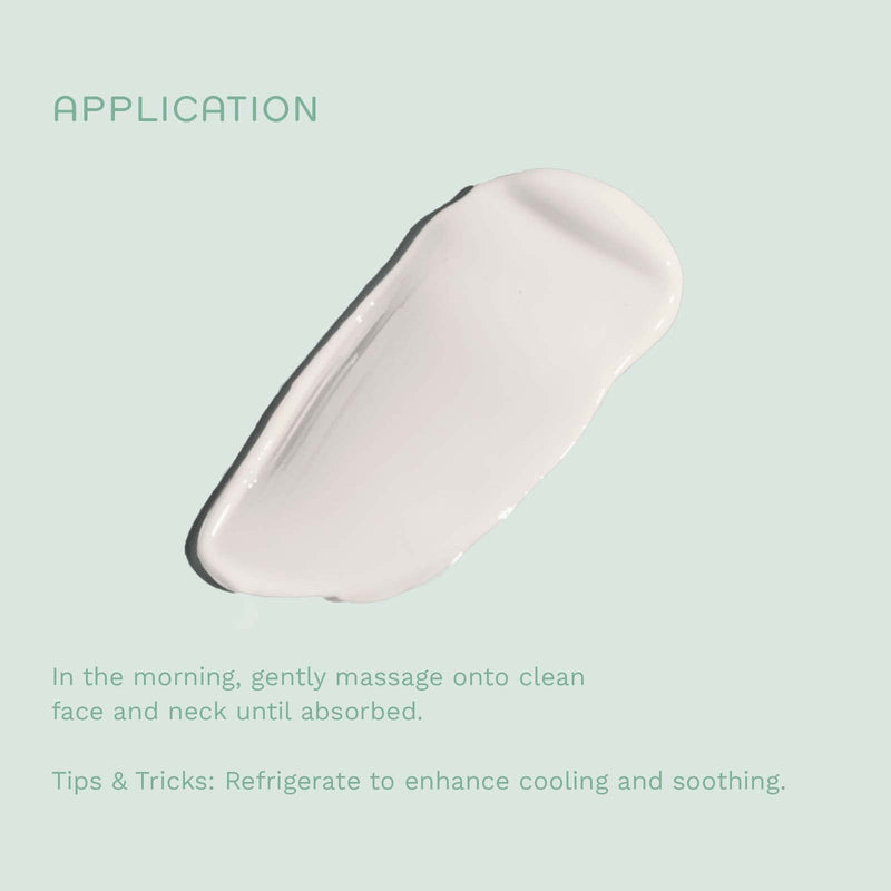[Australia] - REN Clean Skincare Facial Moisturizer - Evercalm Global Protection Day Cream Proven to Calm Skin - Shea Butter & Antioxidants Nourish & Reduce Redness - Cruelty Free & Vegan Face Cream, 50 ml Facial Moisturising Cream 