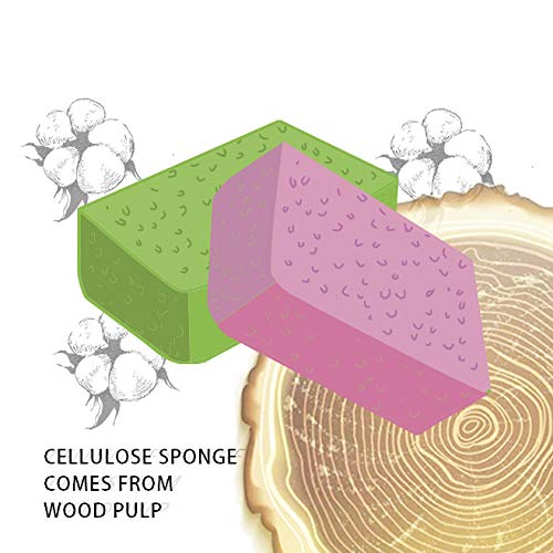 [Australia] - Facial Sponges (60 Count) for Natural Beauty, Exfoliation, and Deep Facial Cleansing | White and Beige Sponges Included, 2 Different Shapes for Choice | 100% Cellulose Facial Sponges by Greenet round 